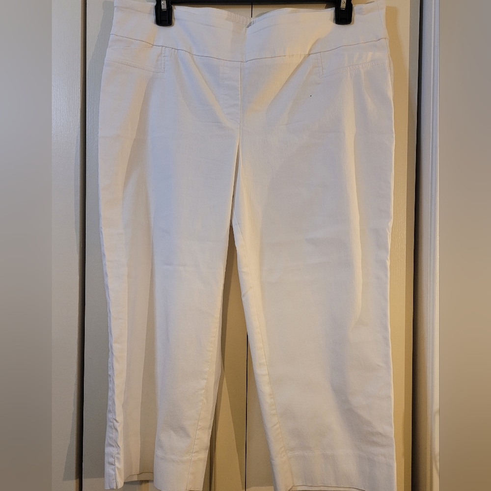 Zac & Rachel wide waistband pull-on stretchy comfortable capris 18W